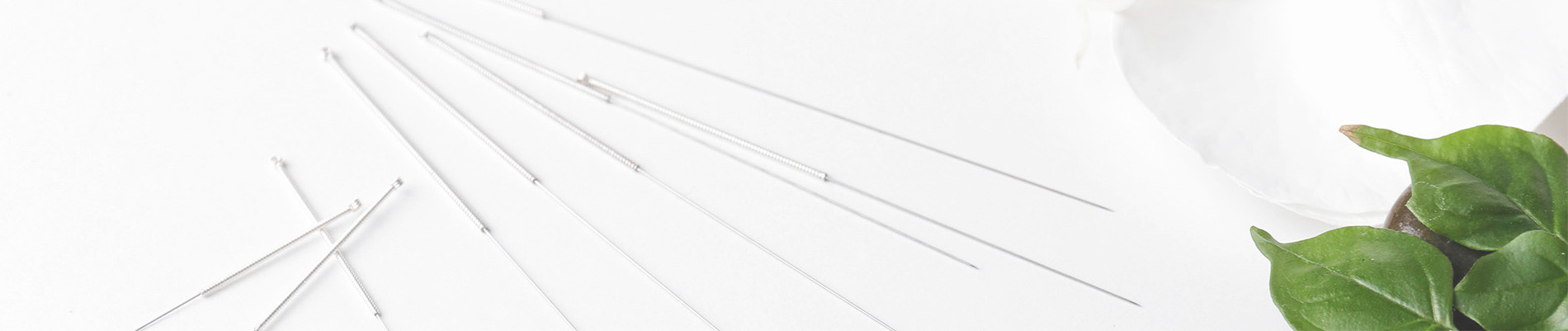 Hair Care Website Template